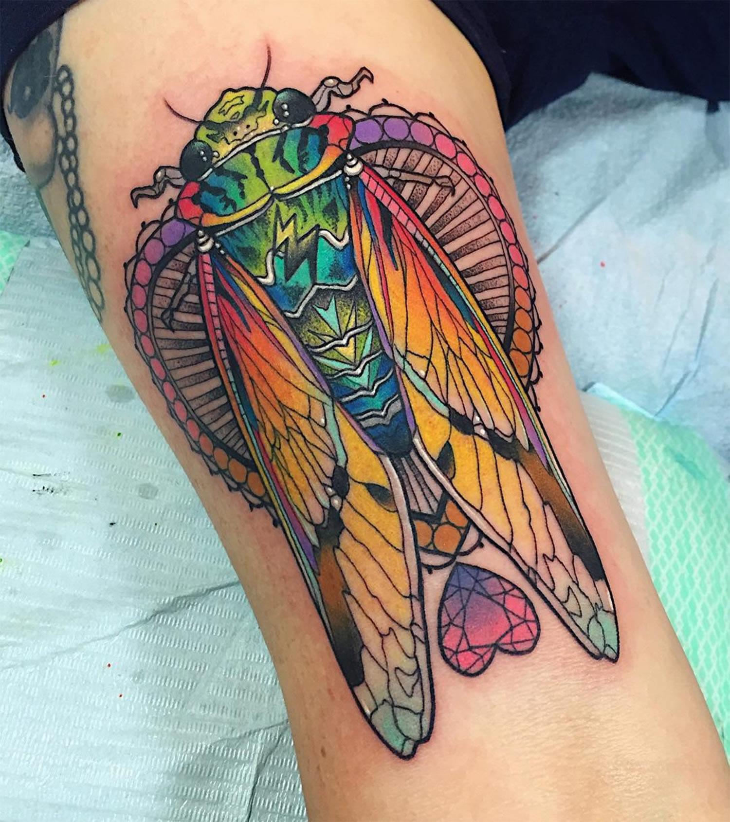 rainbow moth tattoo