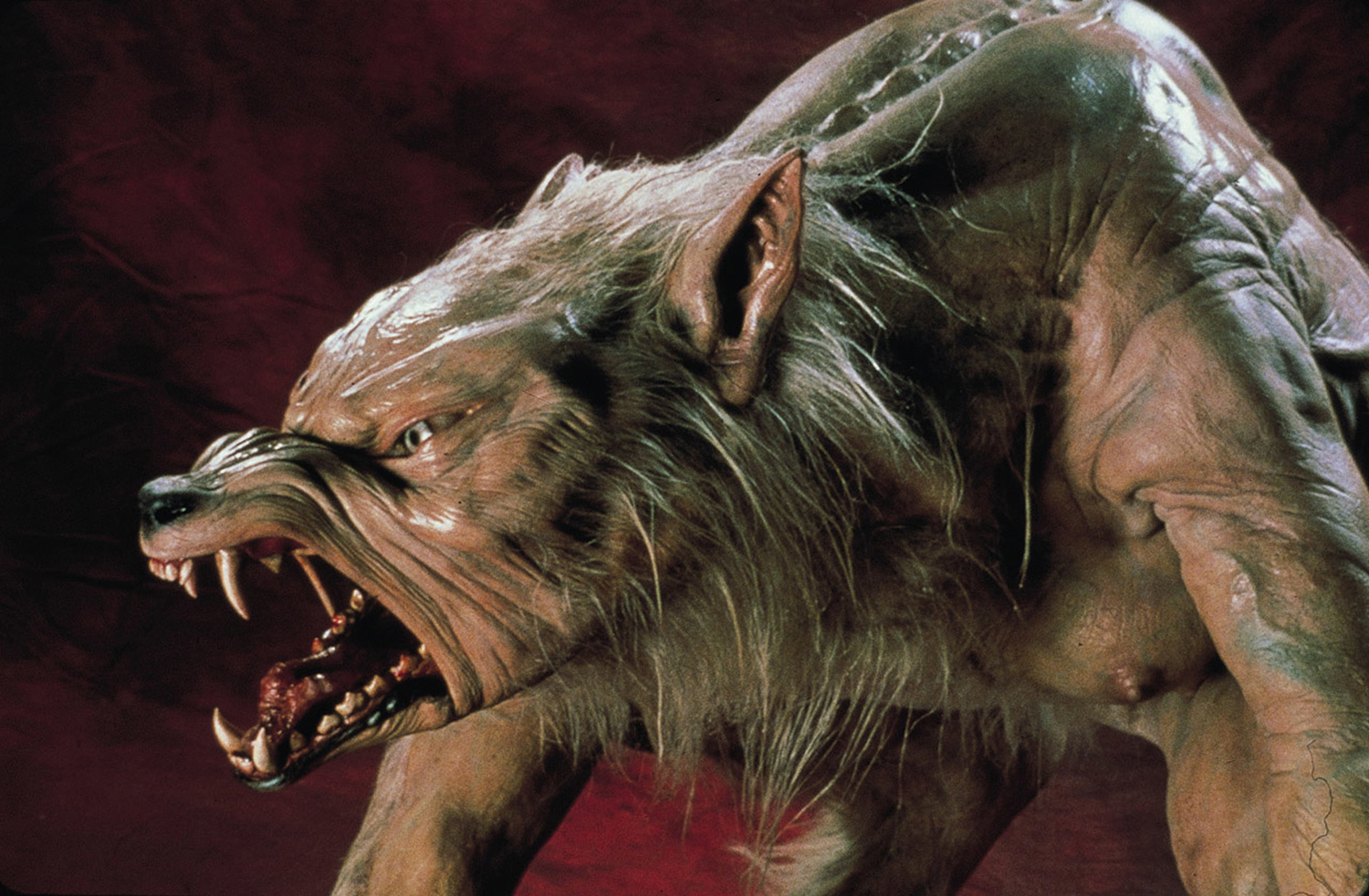 Canadian Horror Films - Ginger Snaps, werewolf