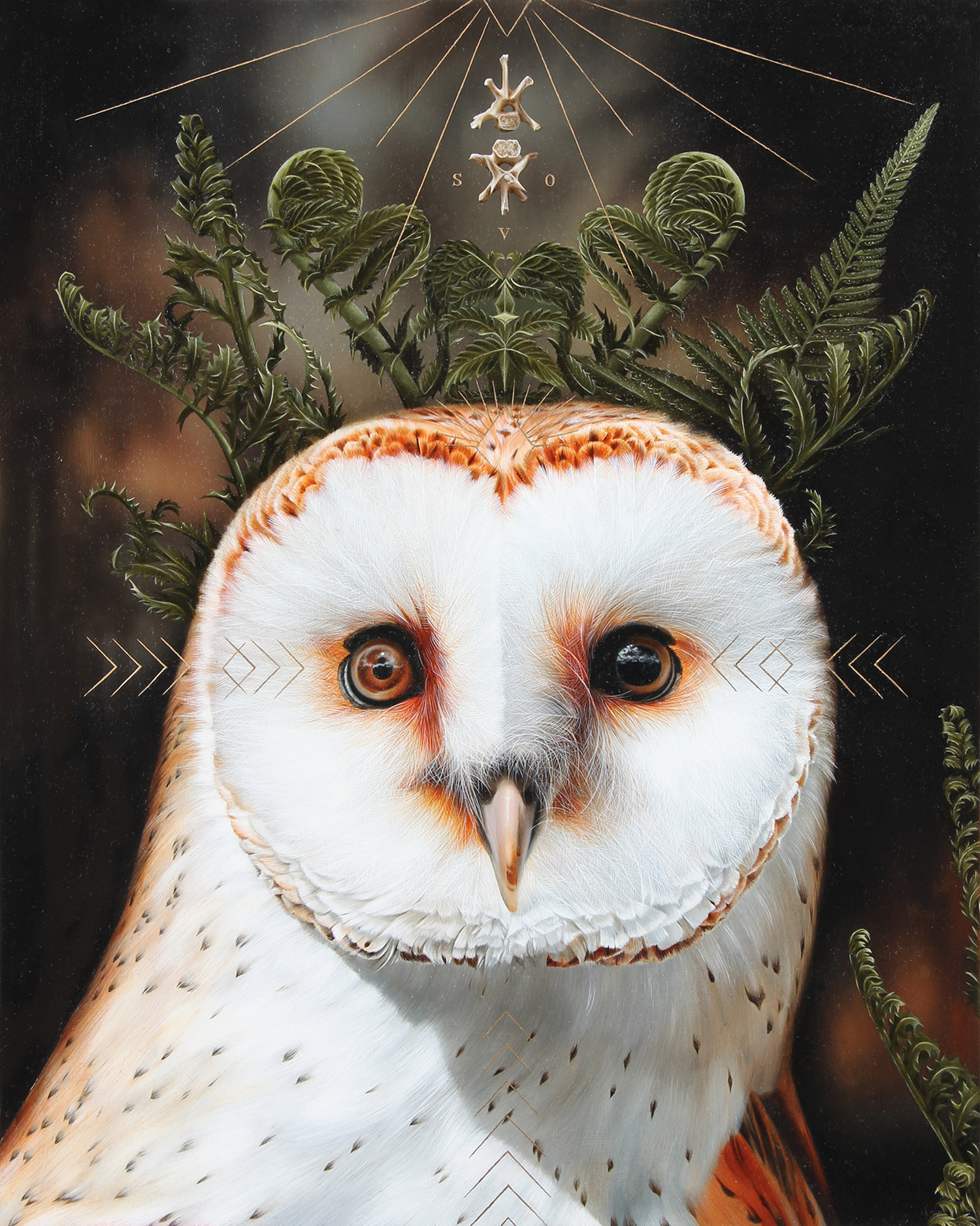 Josie Morway - owl