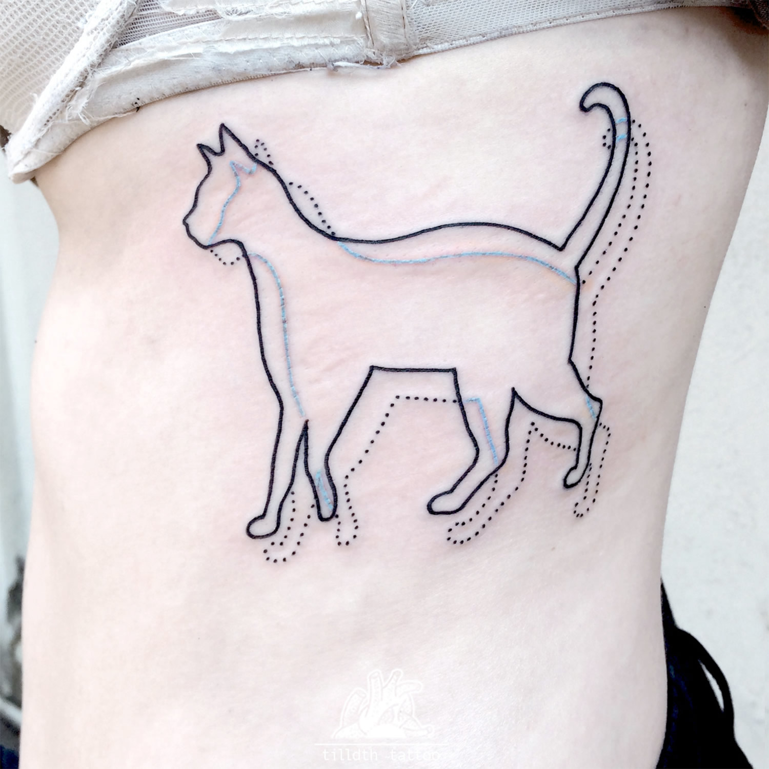 cat animation tattoo by Sarah Herzdame