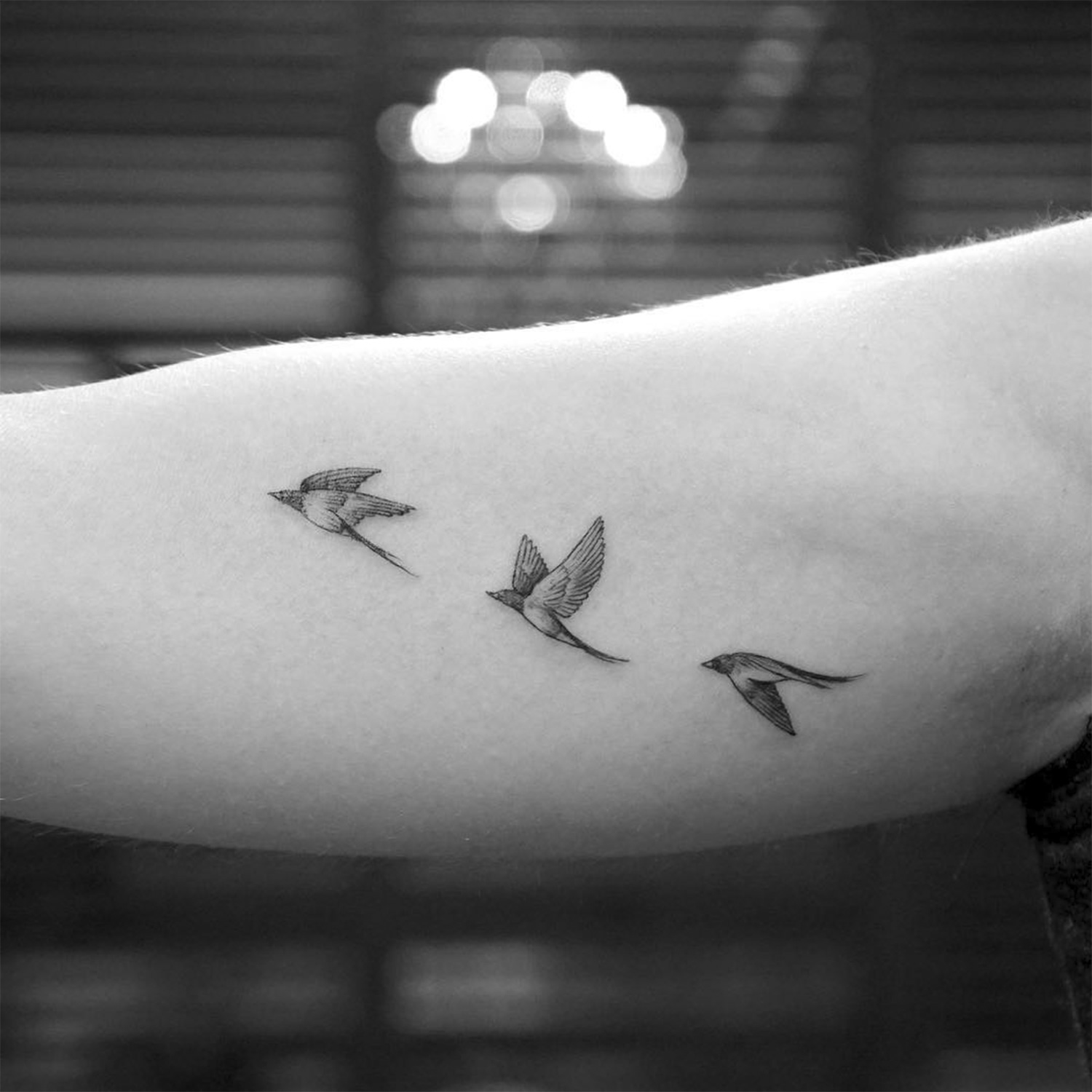 birds flying, motion, animated tattoo by mr k