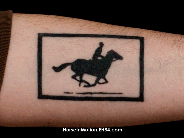 muybridge horse tattoo, gif, by matt hoyme