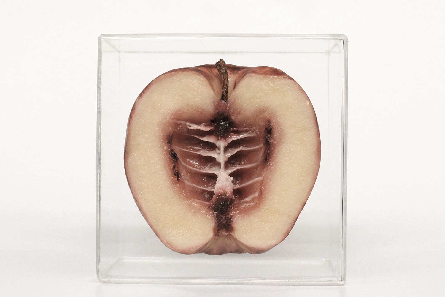 Monica Piloni - Apple, Hybrid series