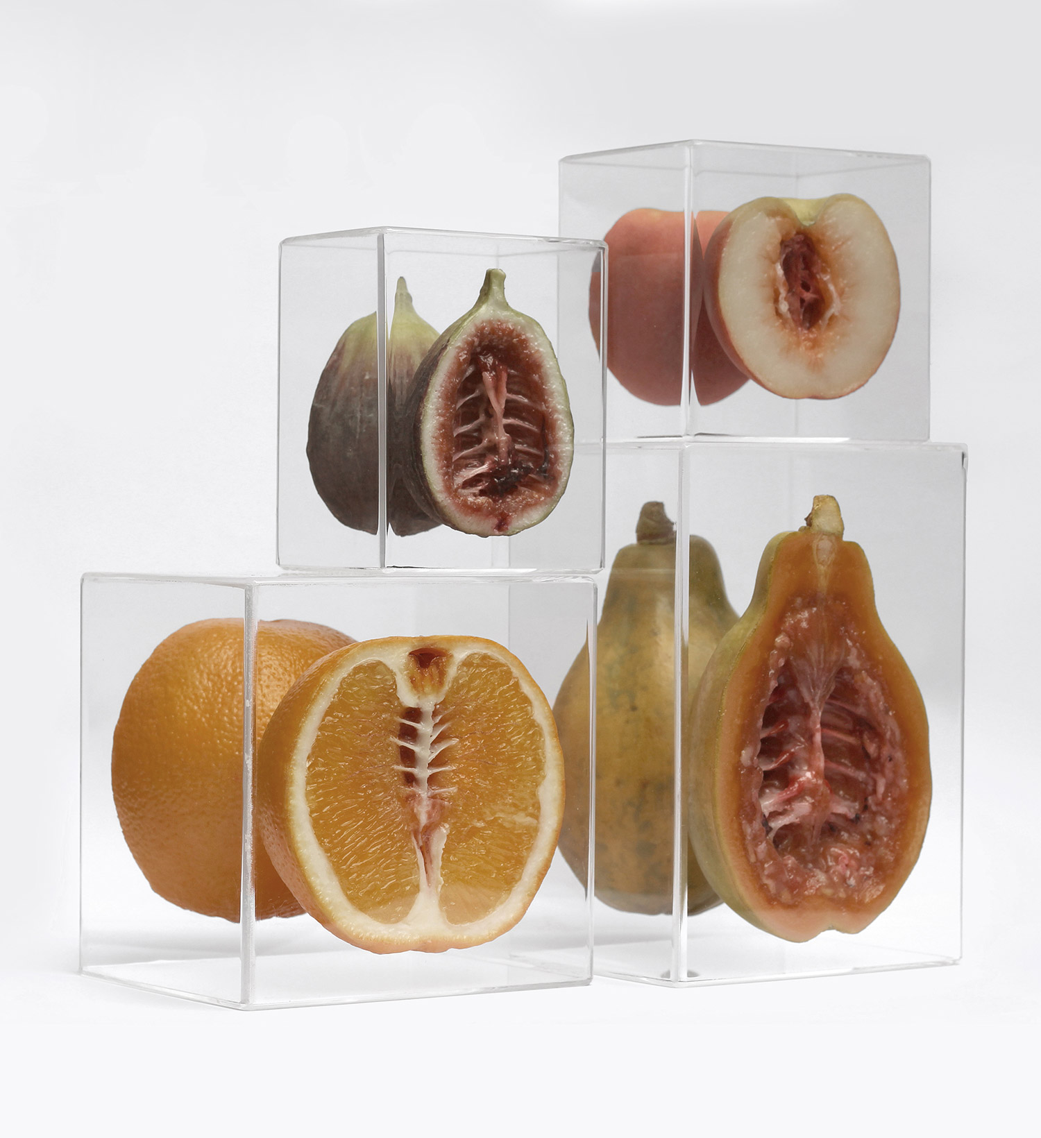 Monica Piloni - Fig, Orange, Papaya, Peach, Hybrid series