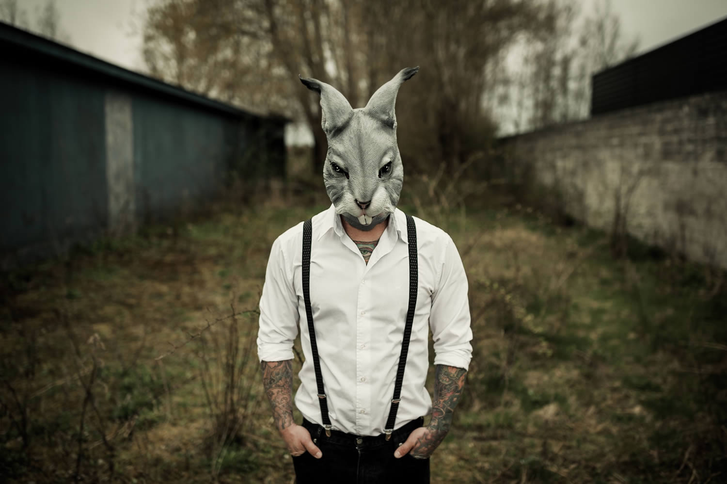 rabbit, tattooed man with rabbit mask