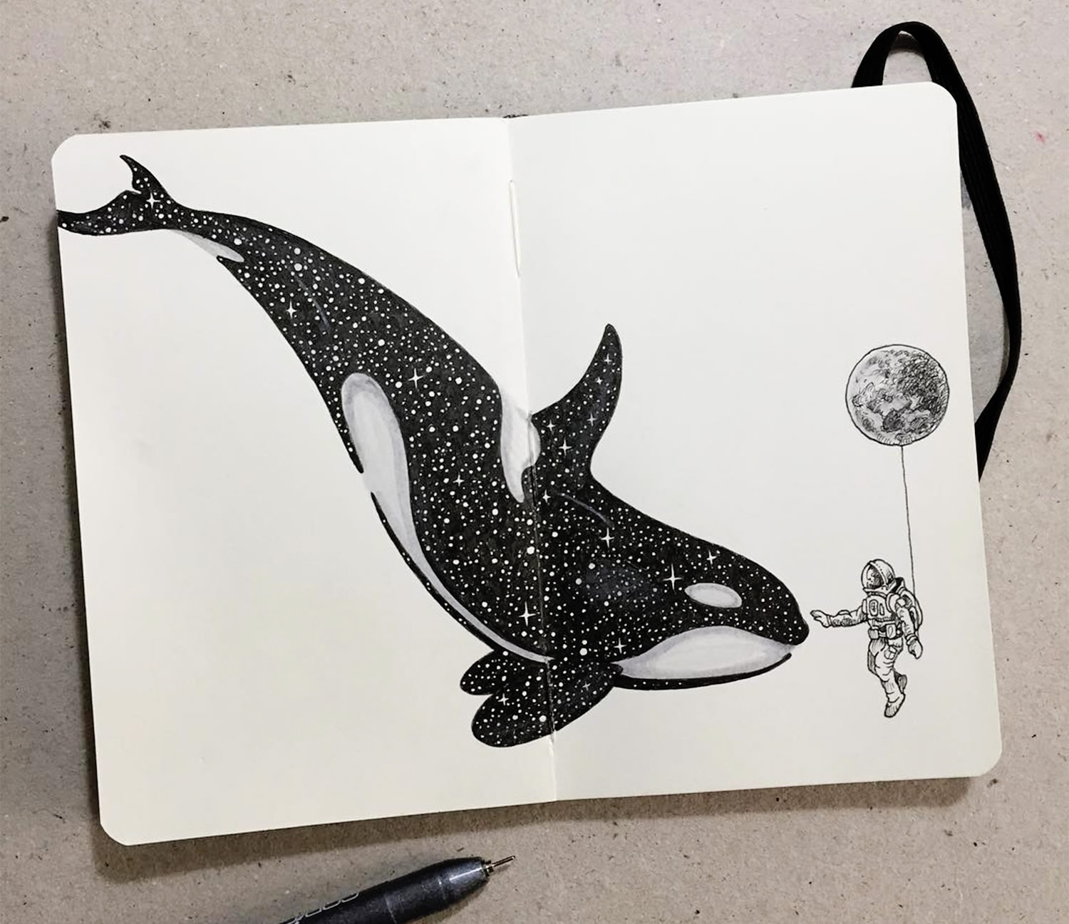 whale drawing by kerby rosanes