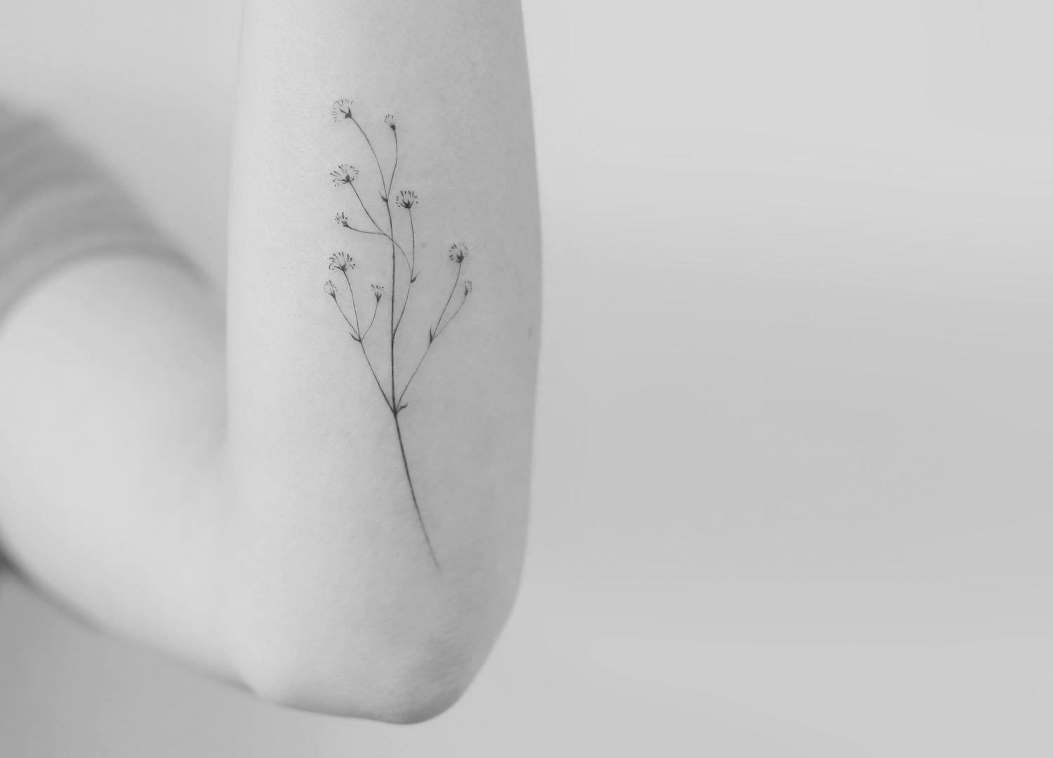 plant tattoo on arm by tattooist doy