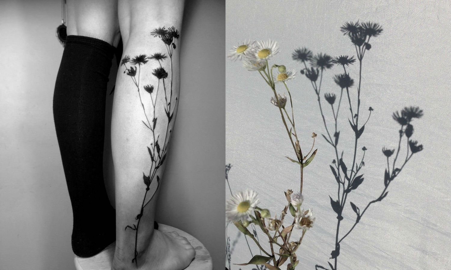 Tedd2S daisy flower shadow ink