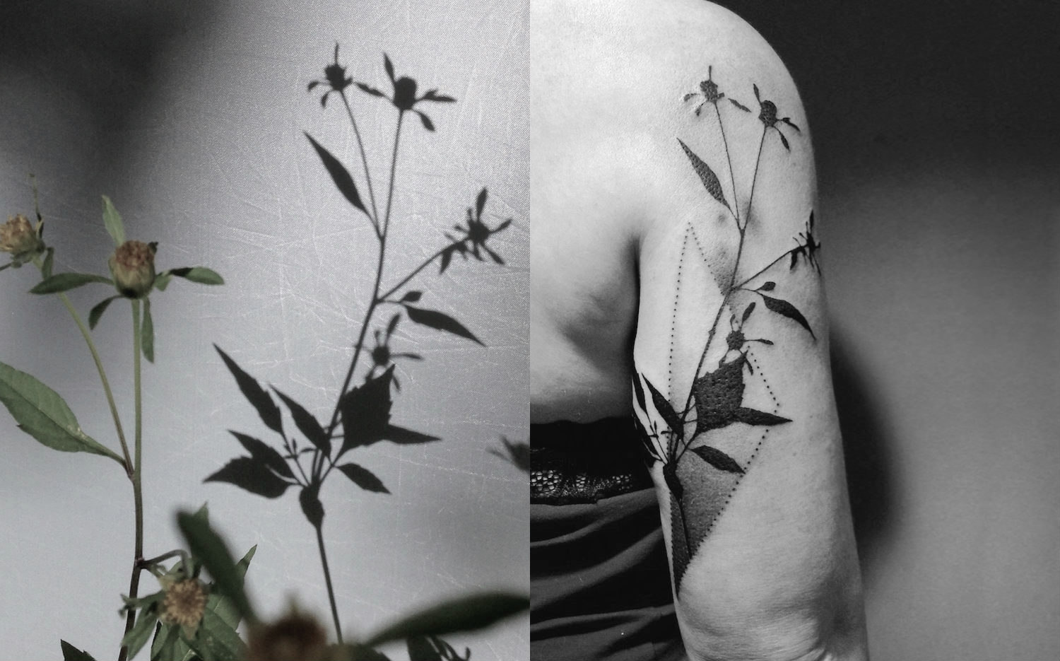Tedd2S flower shadow tattoos
