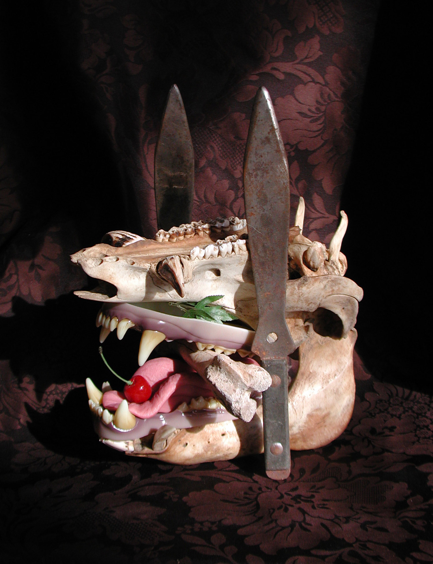 Scott Hove, Cake Fangs - pig tooth cake