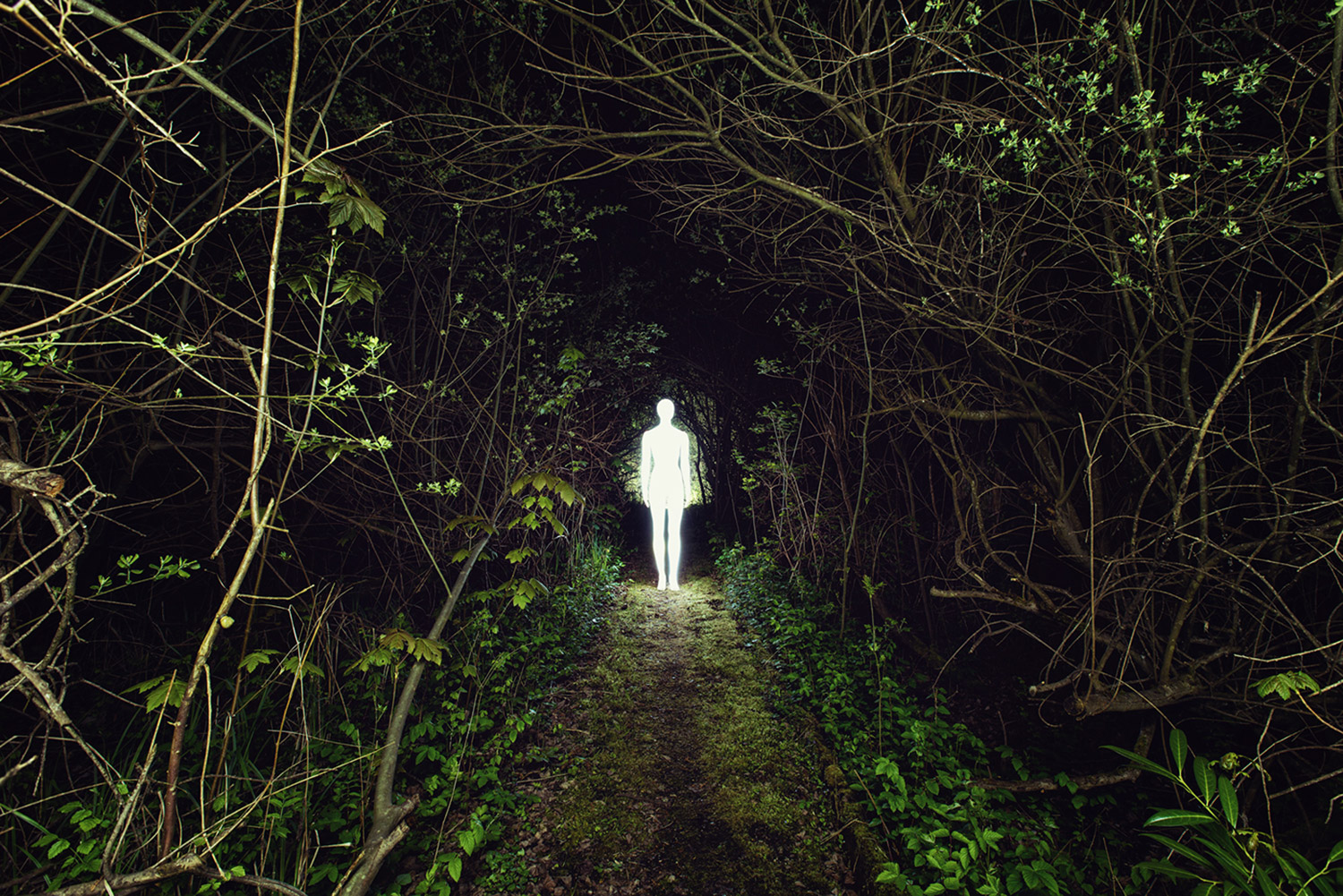 Severin Ettlin, HOMOLUX - illuminated body in forest