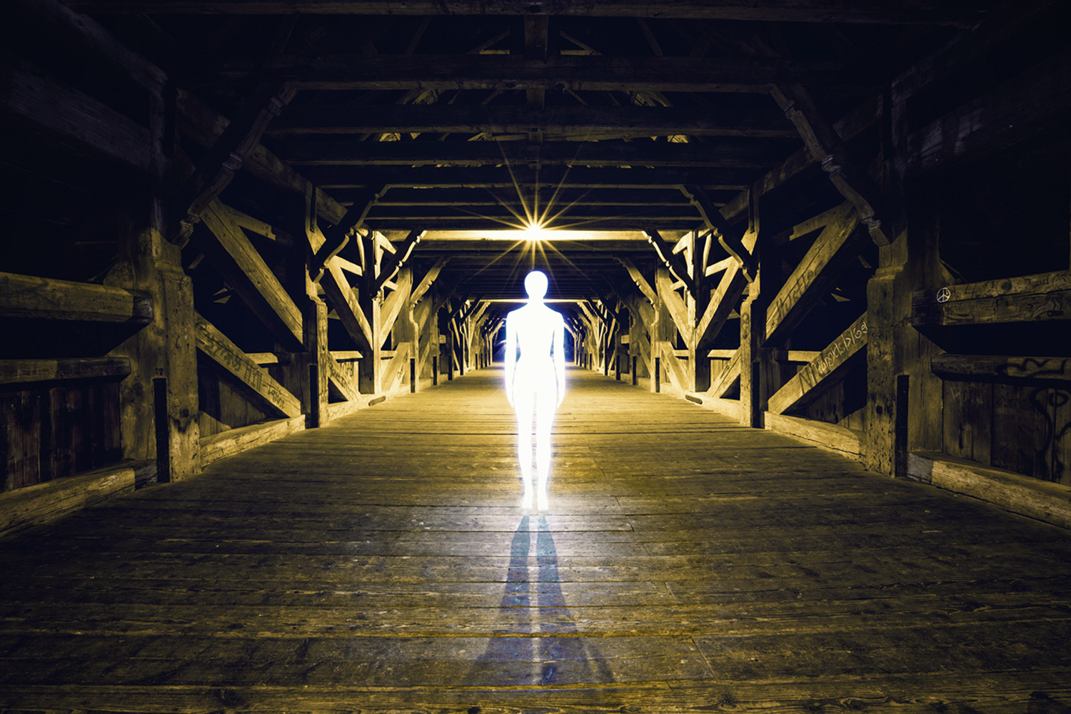 Severin Ettlin, HOMOLUX - illuminated body in stables