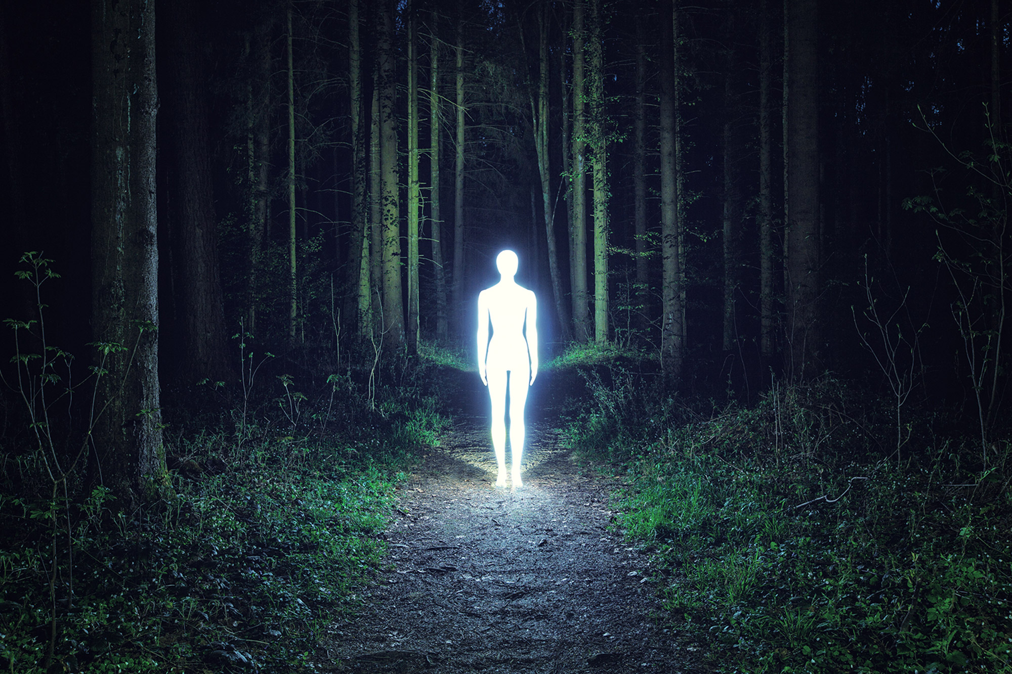 Severin Ettlin, HOMOLUX - illuminated body on forest path