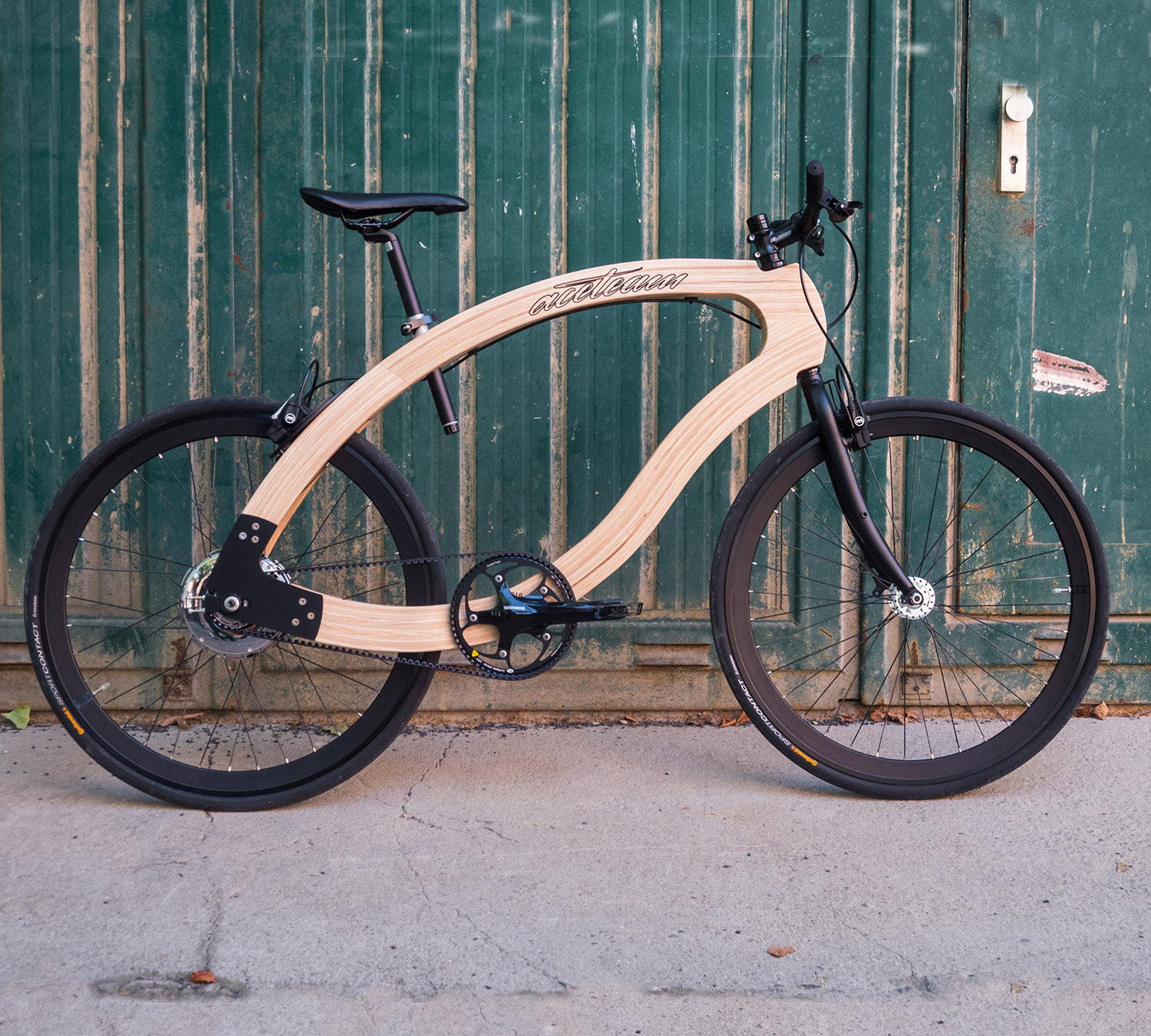 wooden ebike Science meets Sustainability by Matthias Broda, aceteam