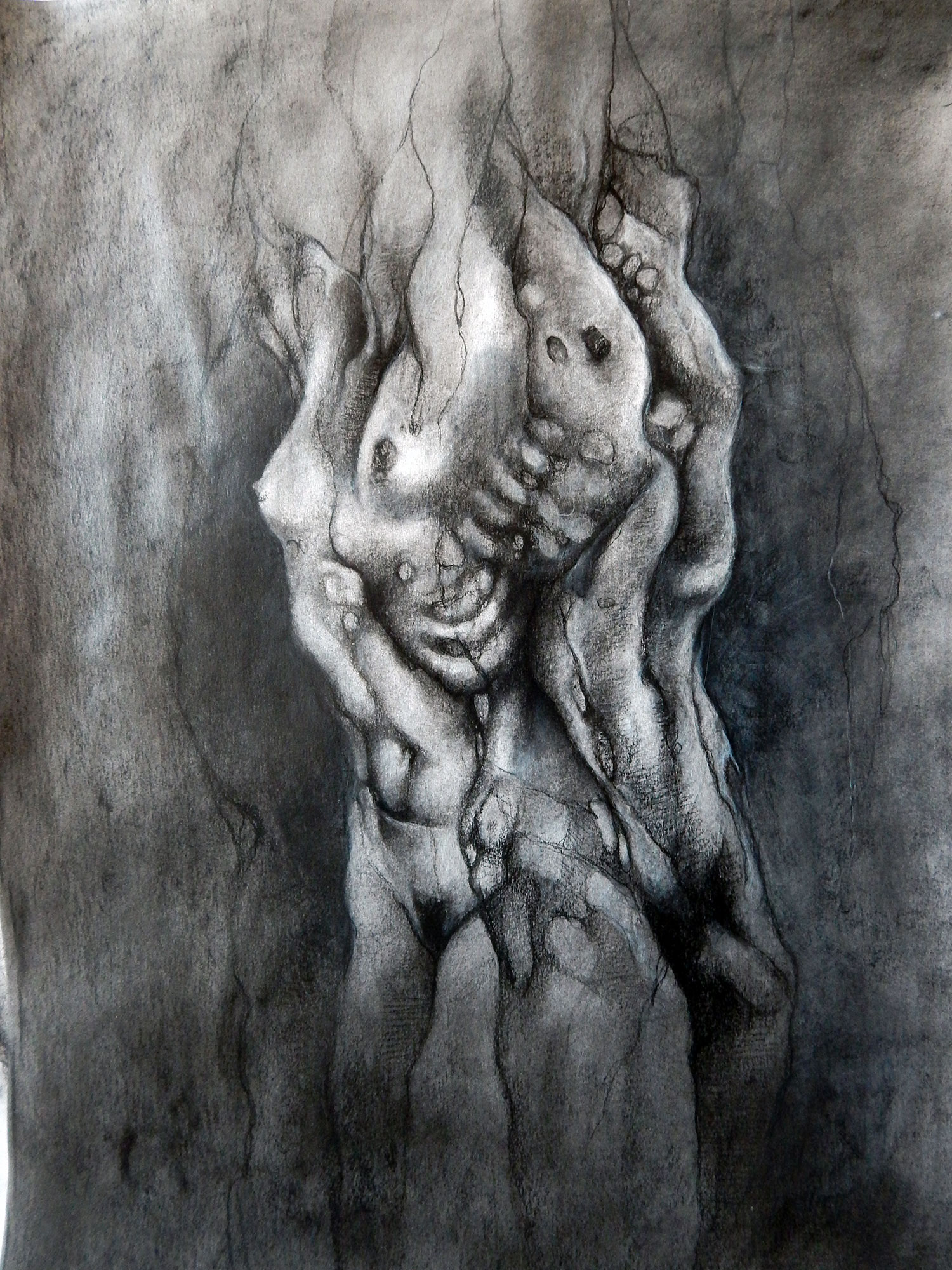 Aurore Lephilipponnat - torsos fused at the back