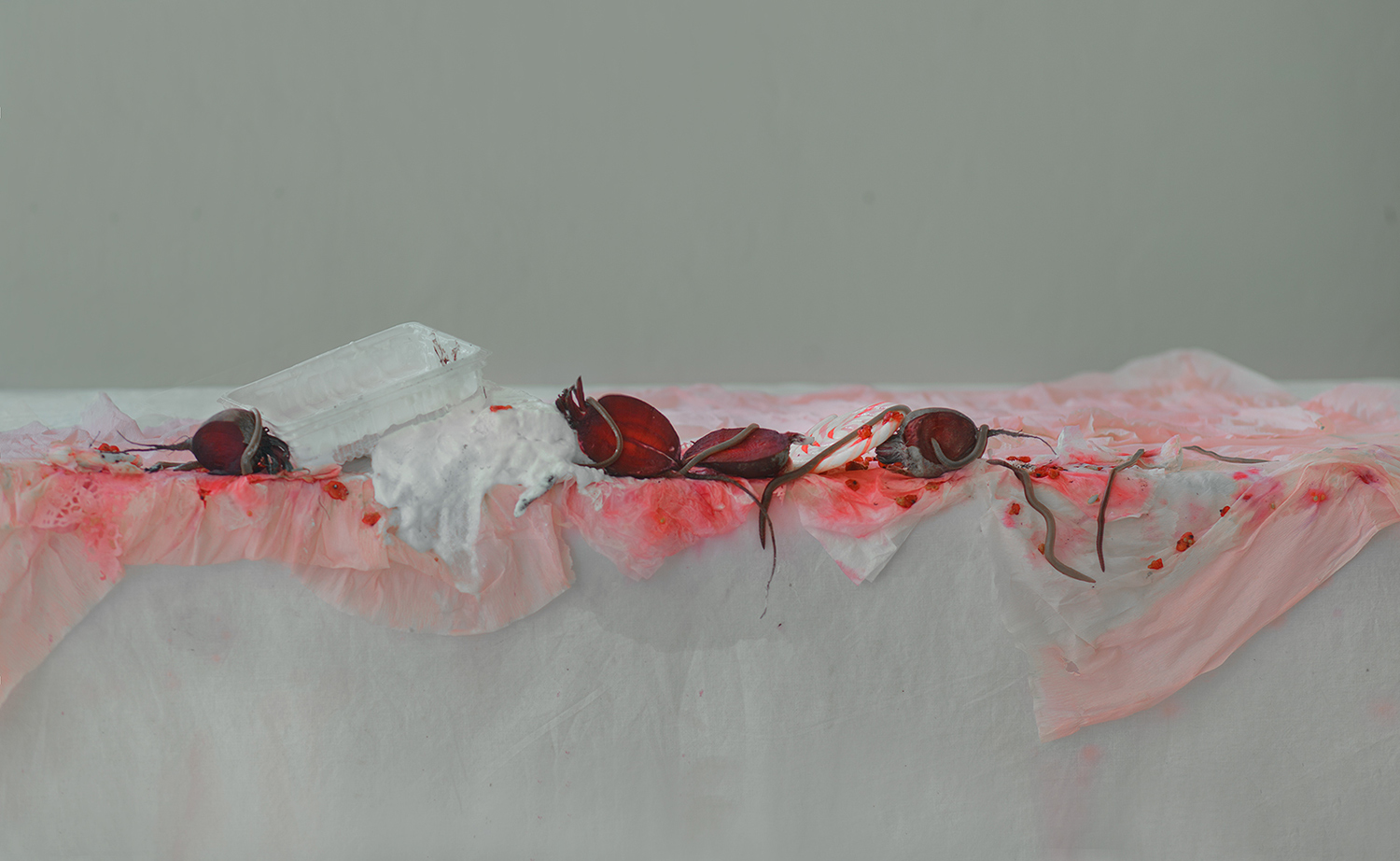 Evelyn Bencicova, An Organic (Still Life) - messy table