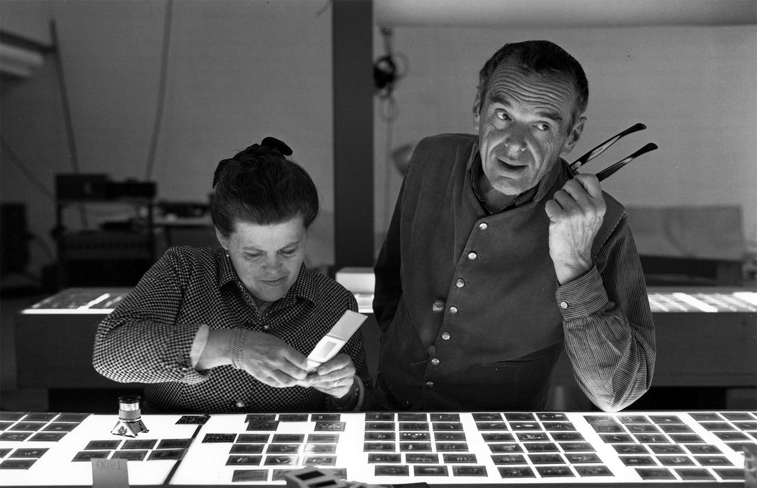 Eames: The Architect and the Painter