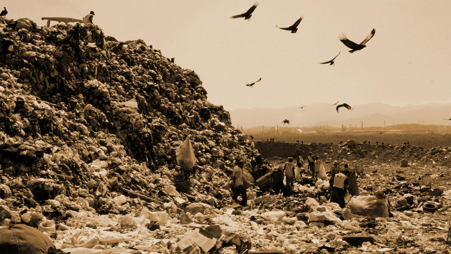 waste land, shot taken in brazil