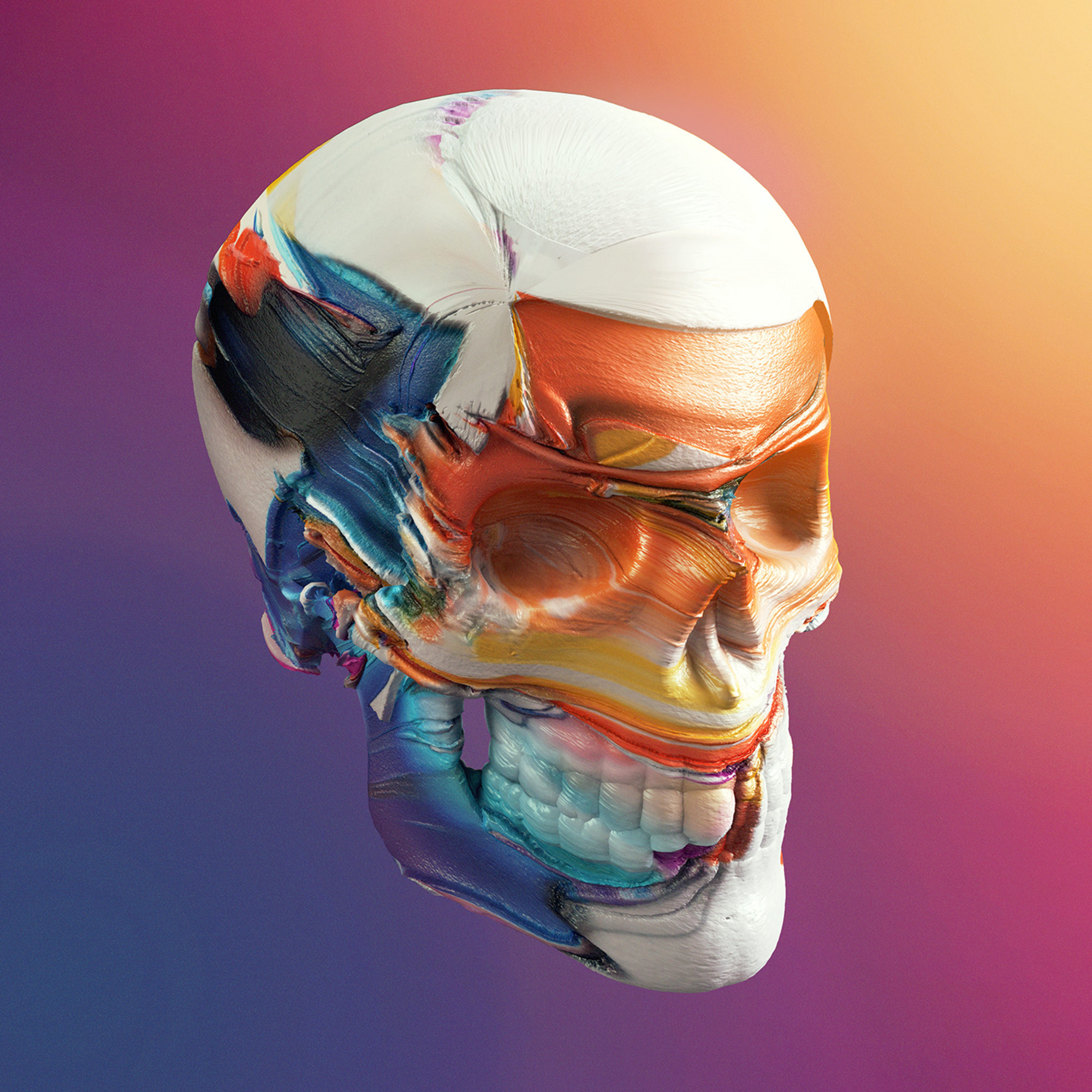 skull 3D , rainbow background