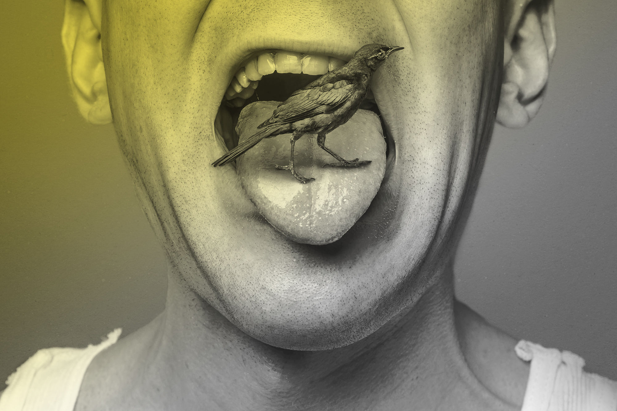 bird in mouth, portrait, scene360 awards