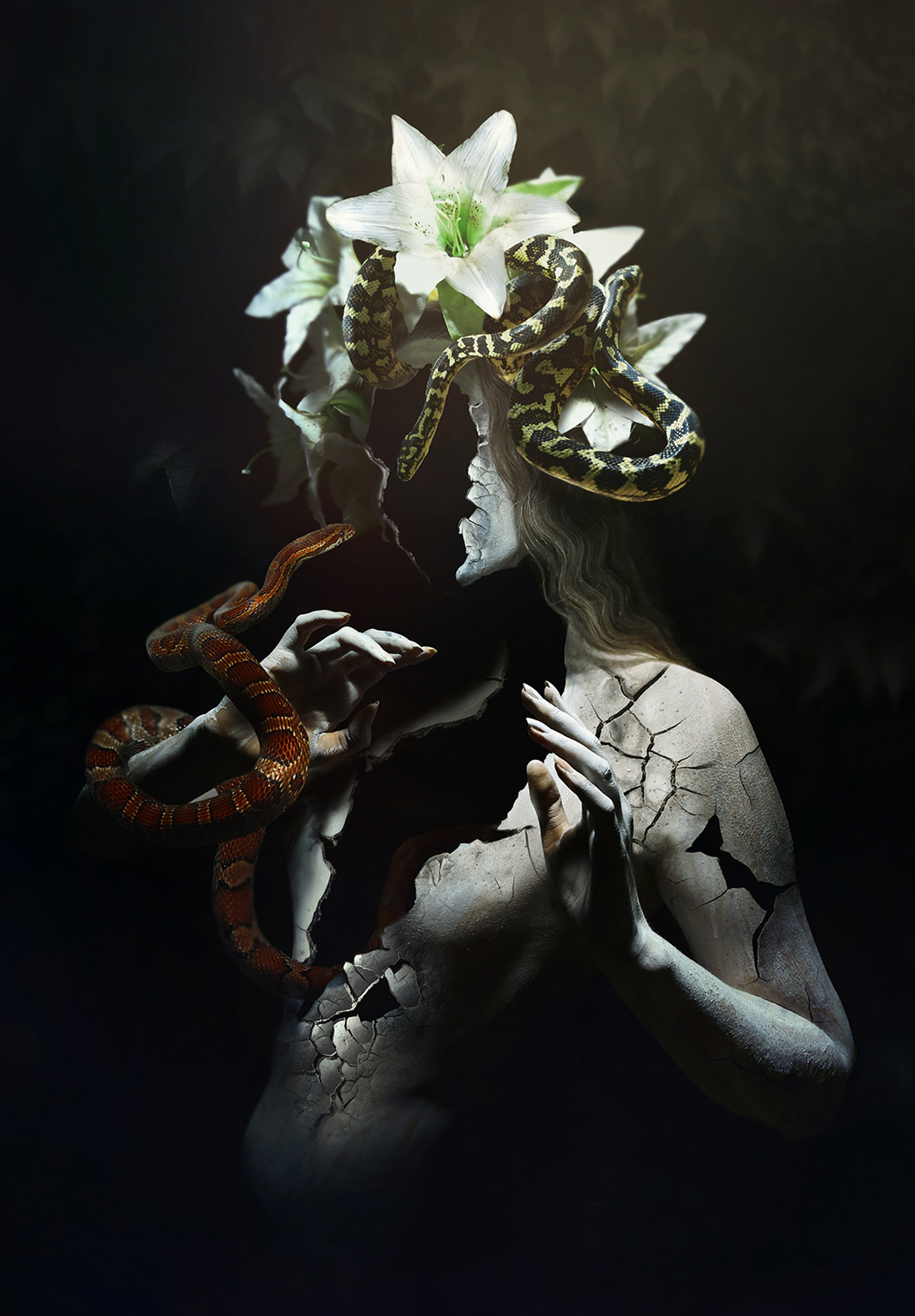 Diana Dihaze - flowers and snakes