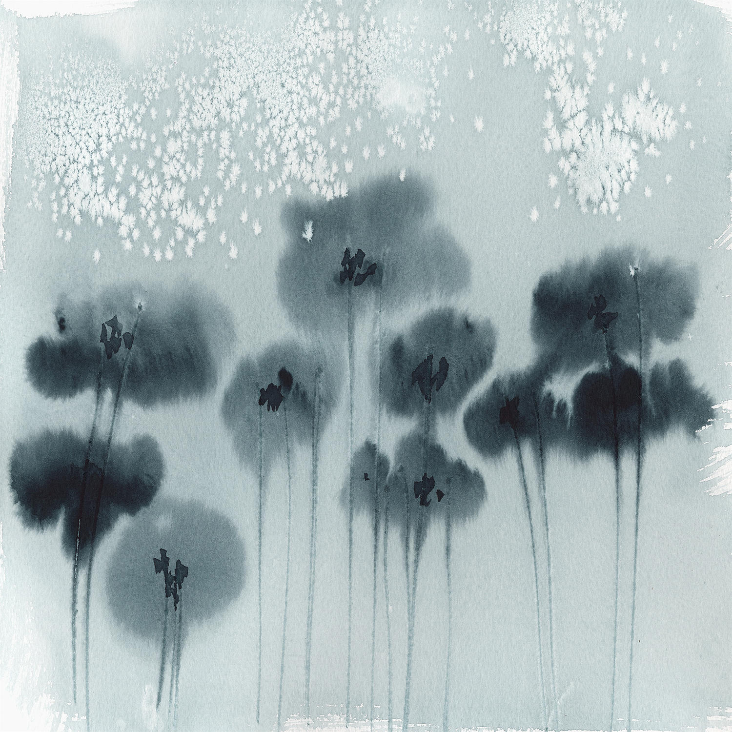 shadow poppies by holly holder, blind artist