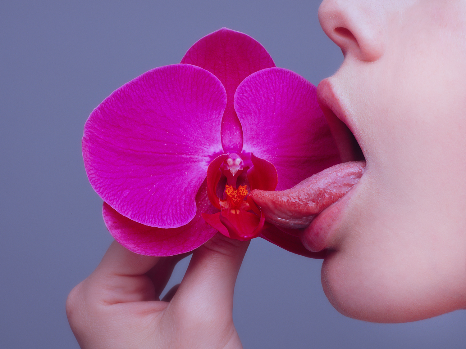 Erotic photographers, Tyler Shields - Orchid