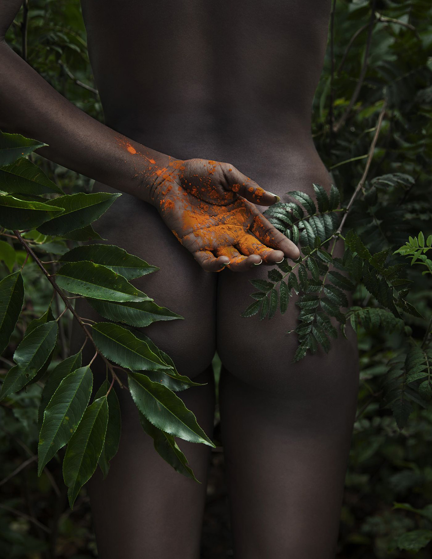 Erotic Photographers - Sanne van Rozendaal, pollen palm