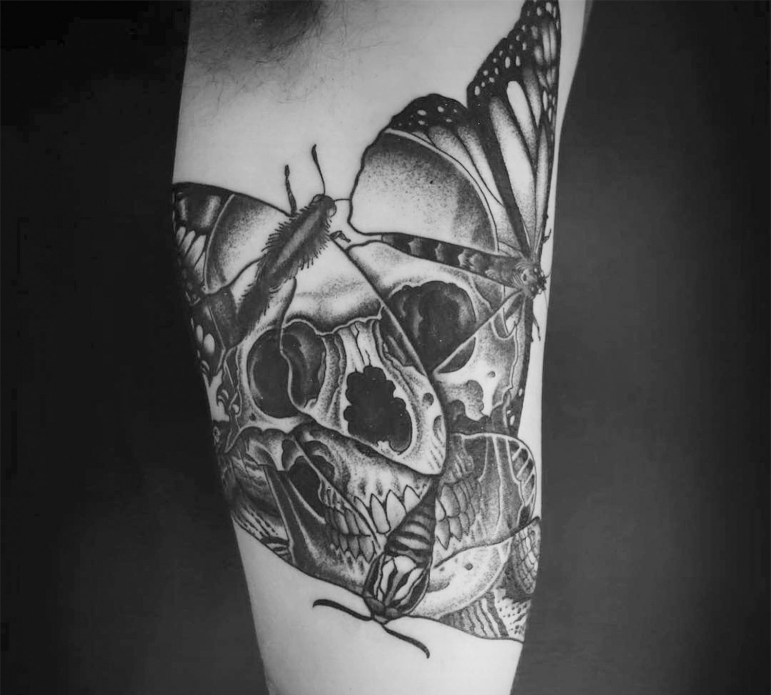 optical illusion moth tattoo, skull, by OKED