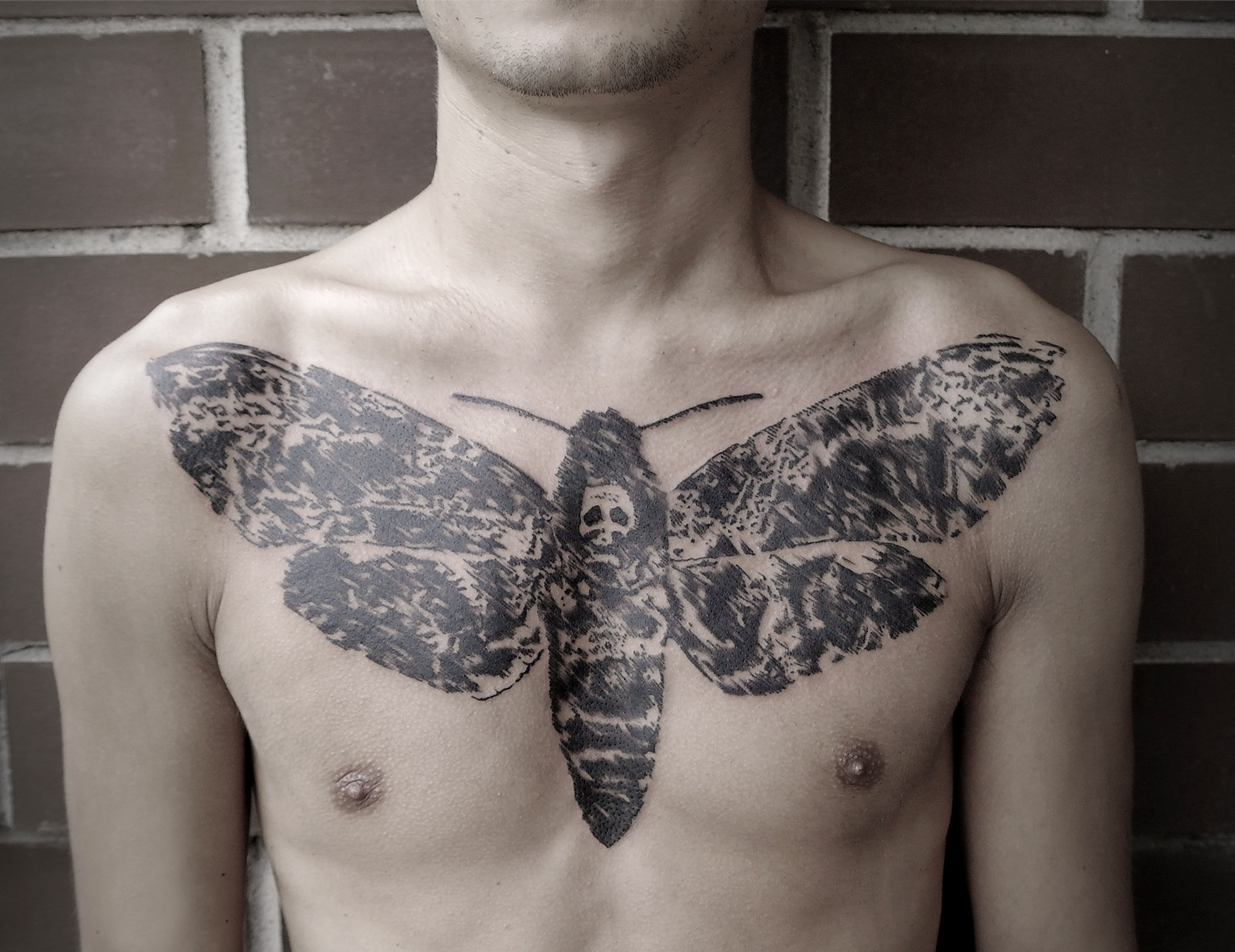  tatuagem da traça falcão da cabeça de Mike Amanita