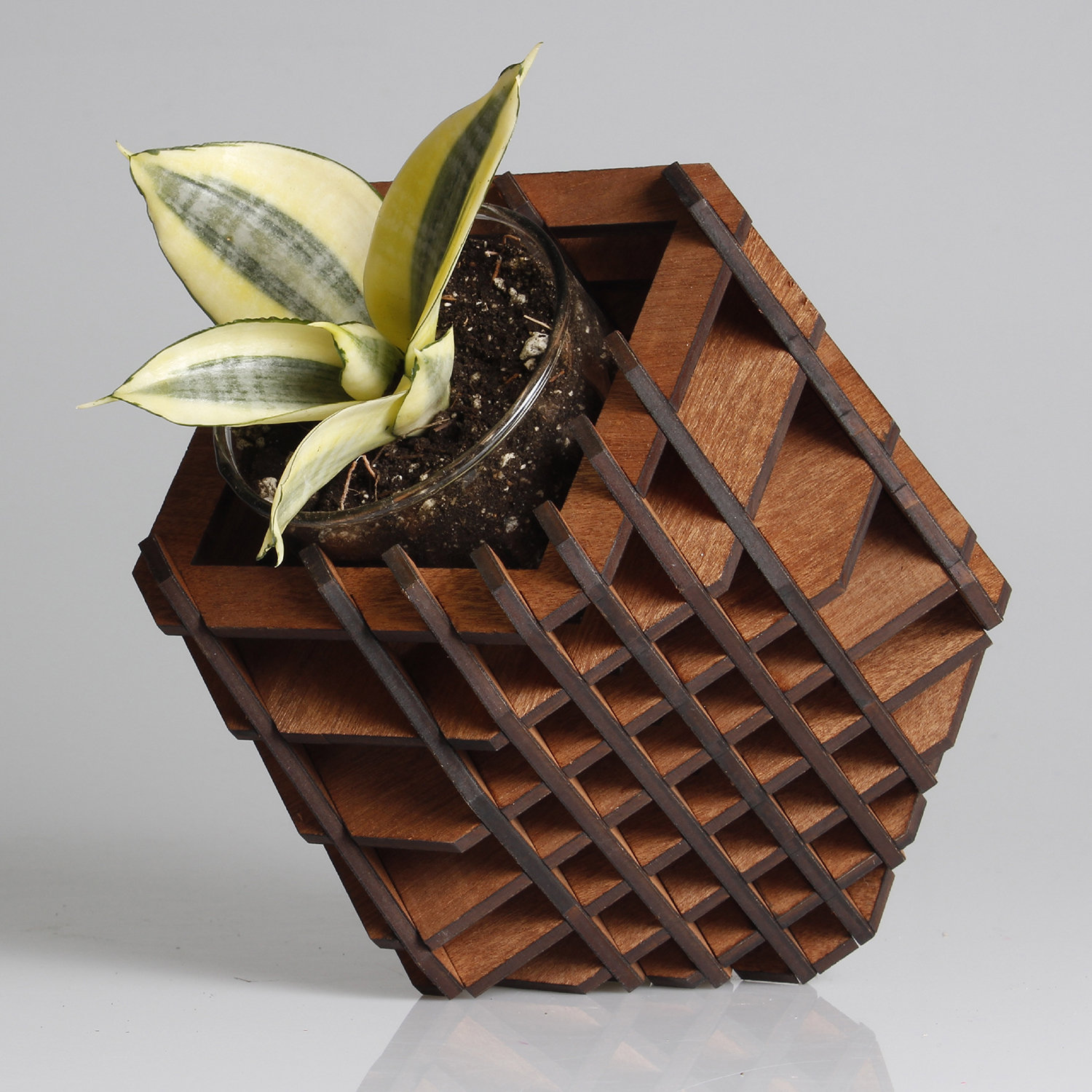 H-02 / 7 Positions Planter Planter by Hexagón Design