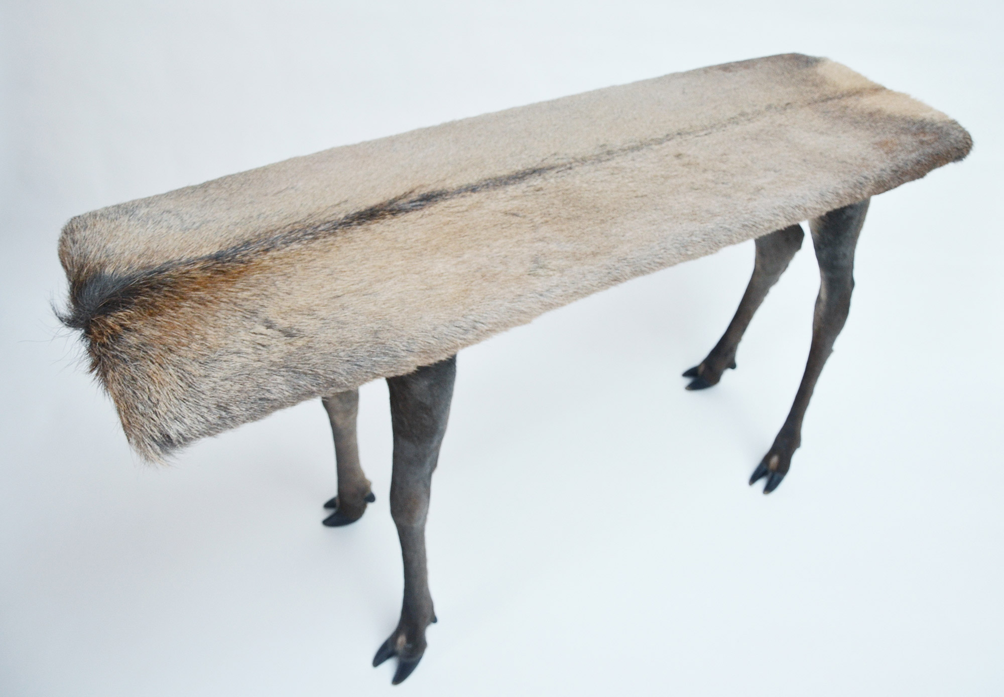 Armin Blasbichler - ORSON II, deer taxidermy table, top view, cover