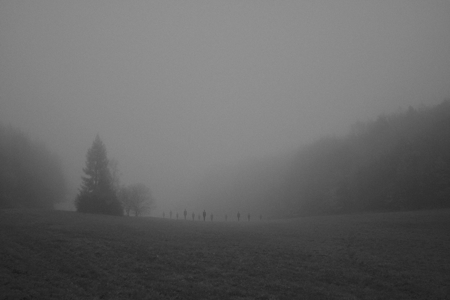 Martin Vlach - foggy field