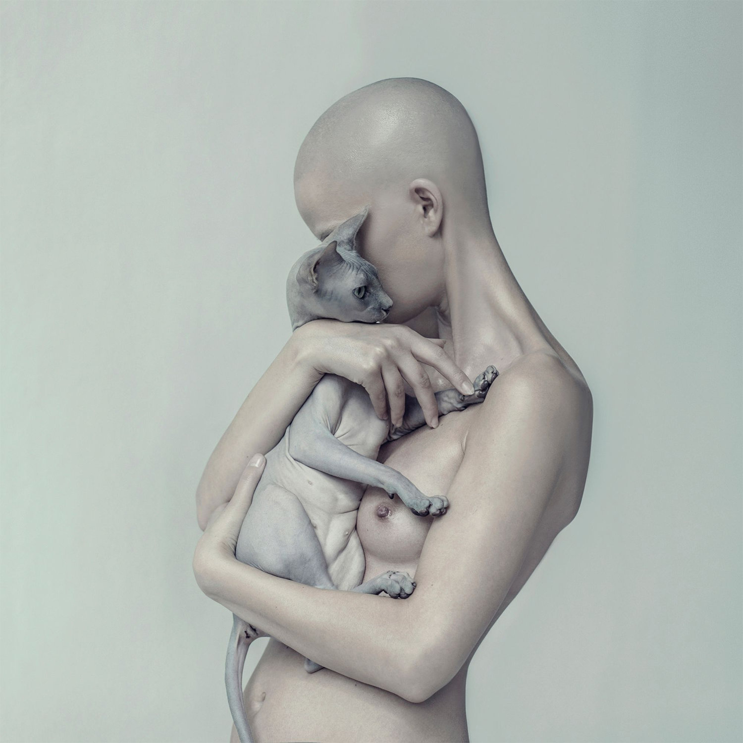 sphynx cat and woman, photo by evelyn bencicova