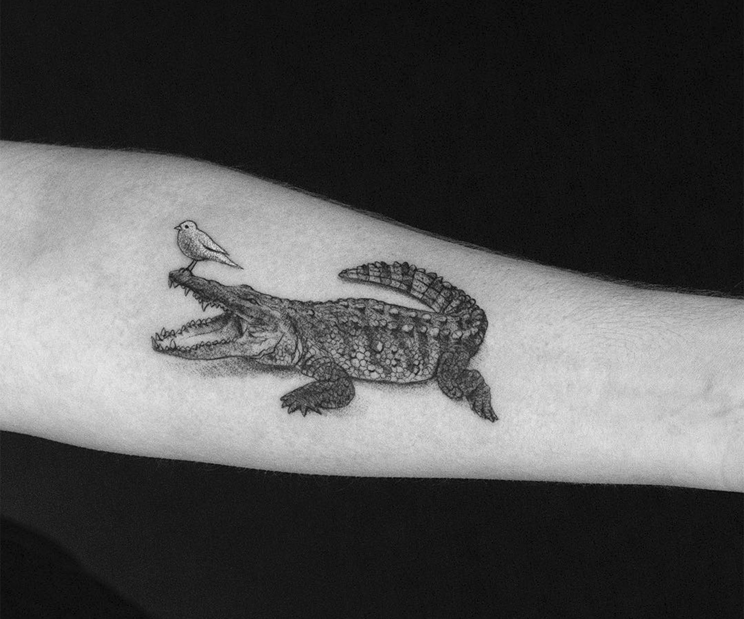 crocodile with bird, tattoo