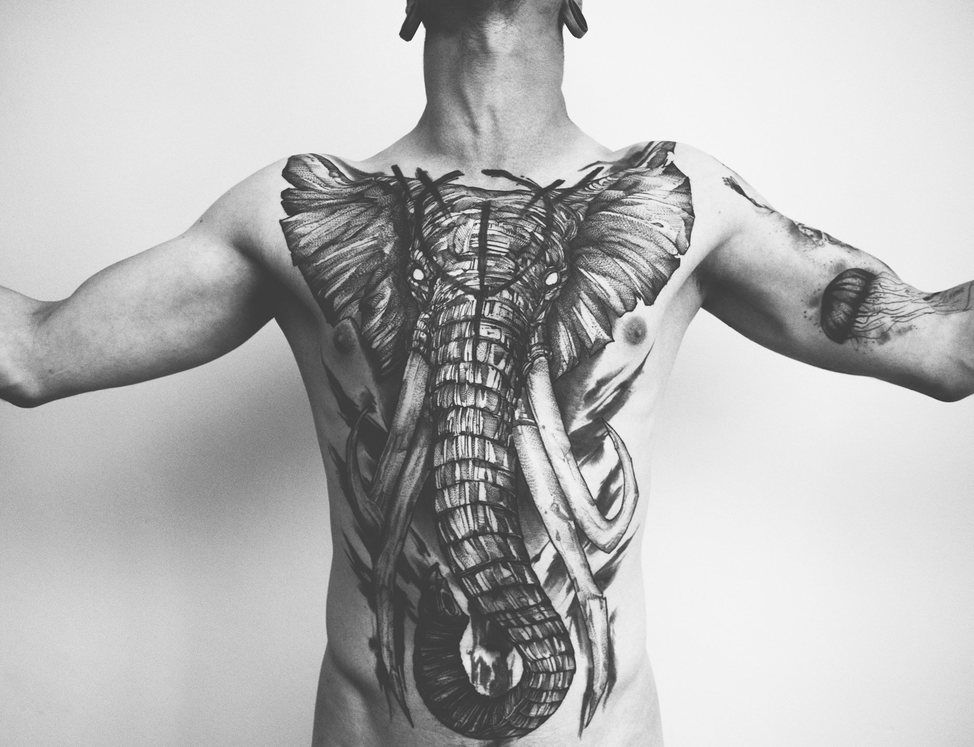 elephant tattoo on chest and stomach by fredao oliveira