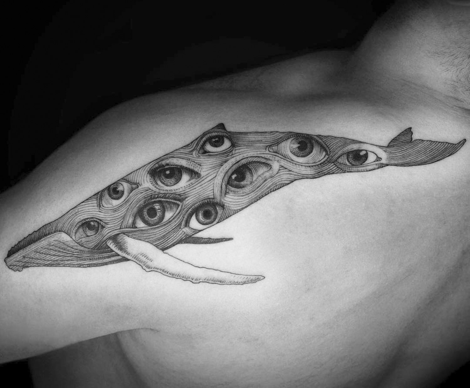 whale with human eyes, tattoo