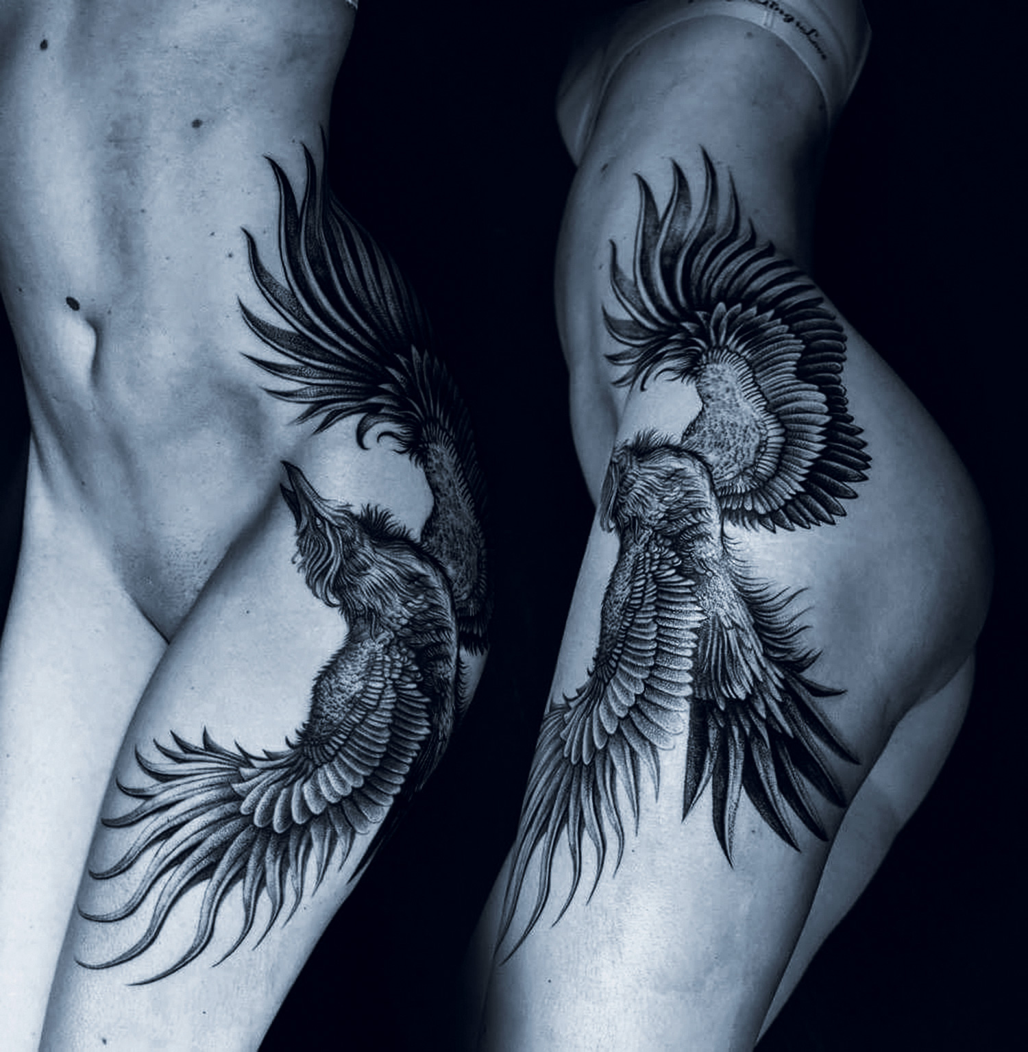 Placide Avantia - bird tattoo