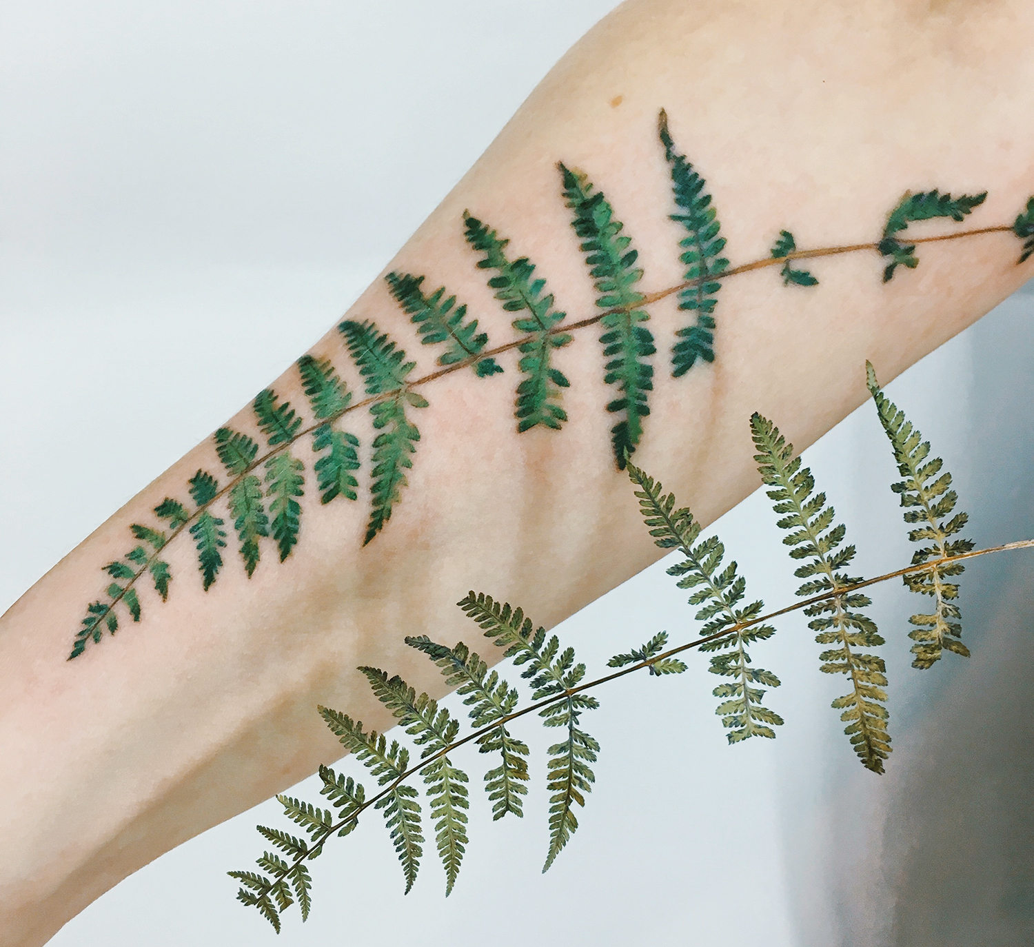 fern tattoo on arm