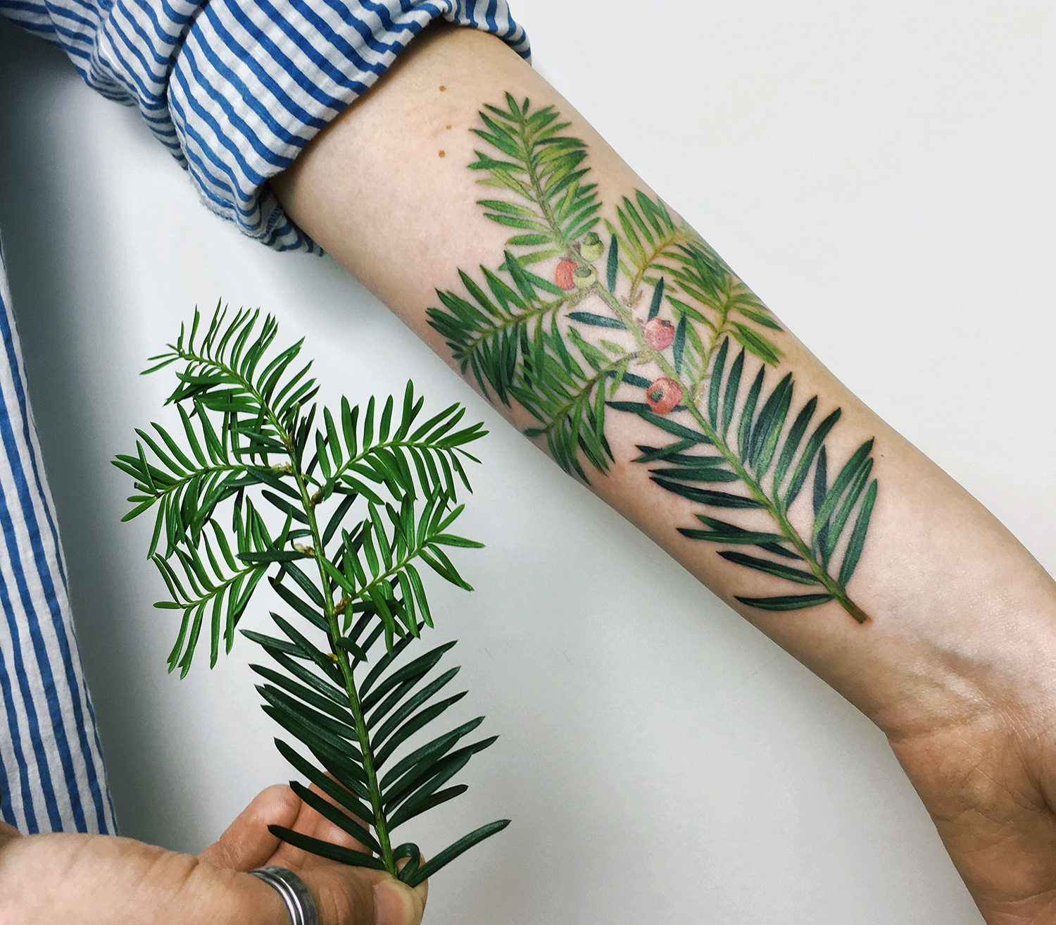 green plants on arm, tattoo