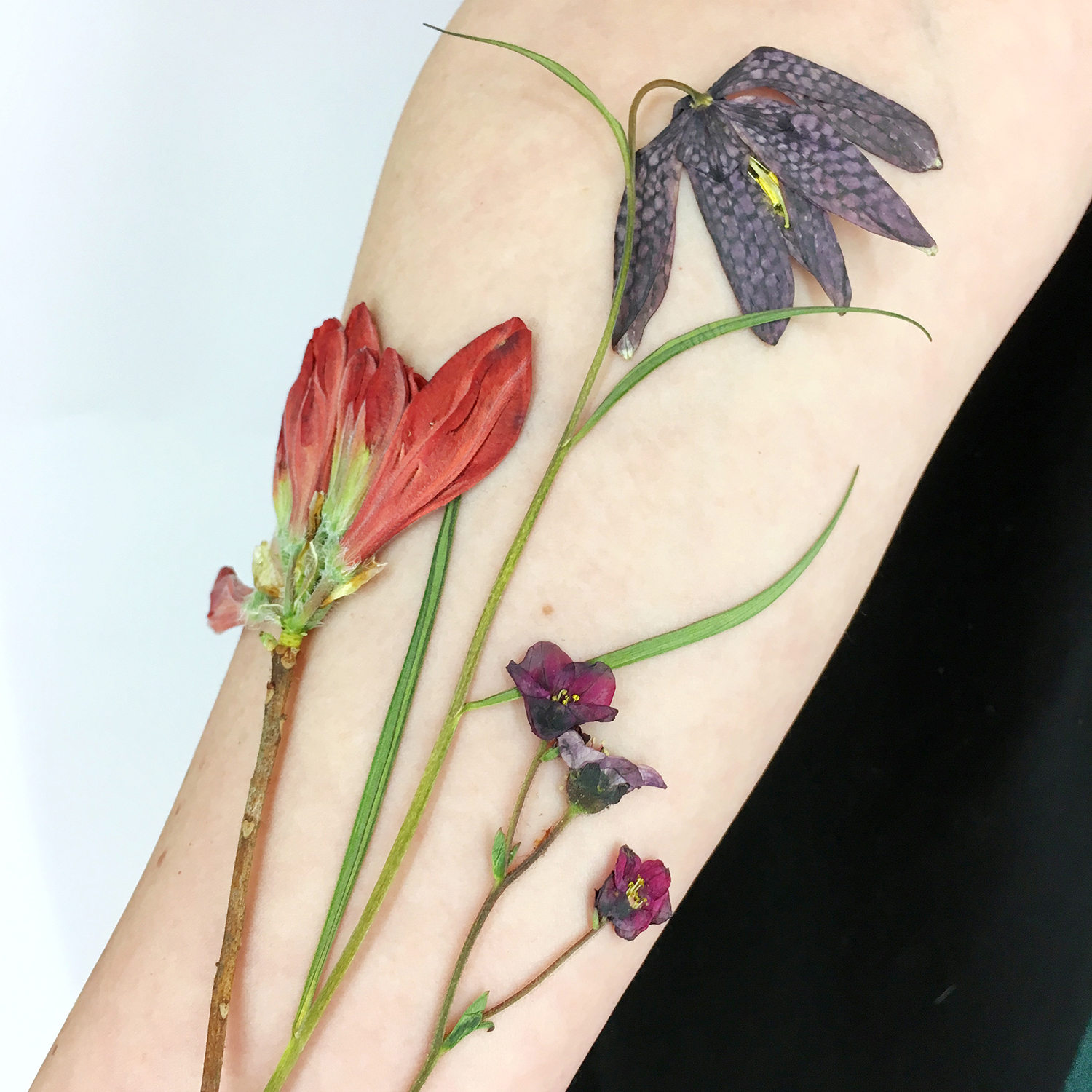 dried flowers on skin, tattooing technique