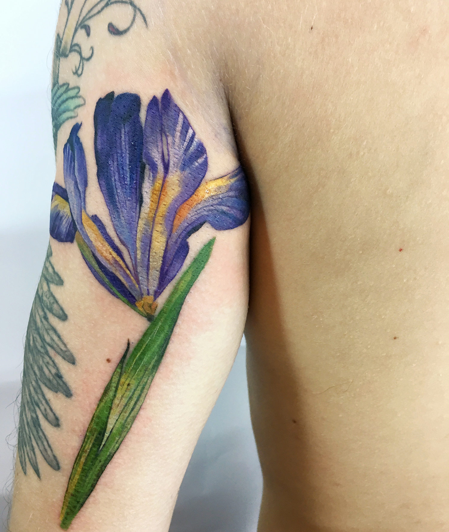 purple flower on arm, live leaf