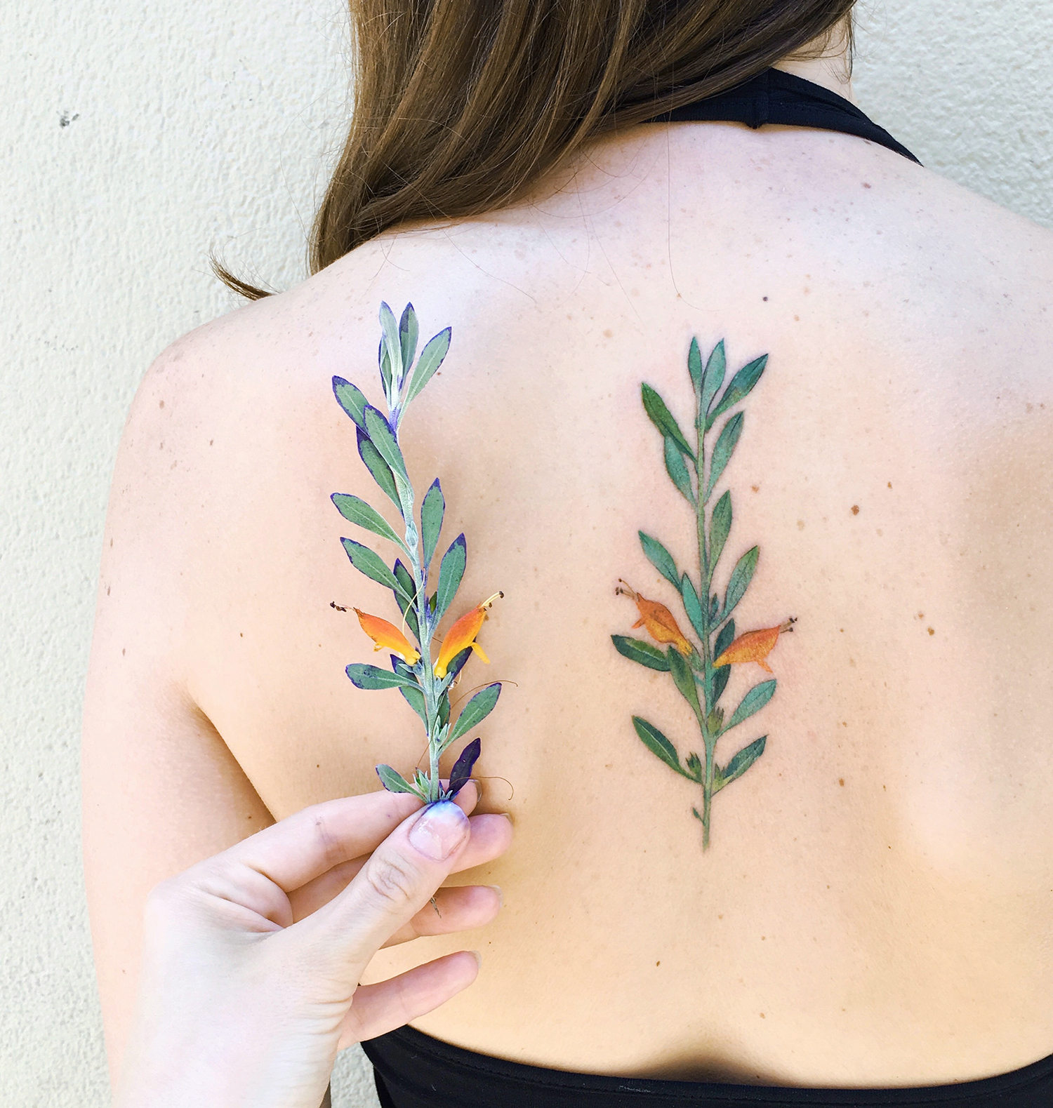 Plant tattoo on back by rit kit