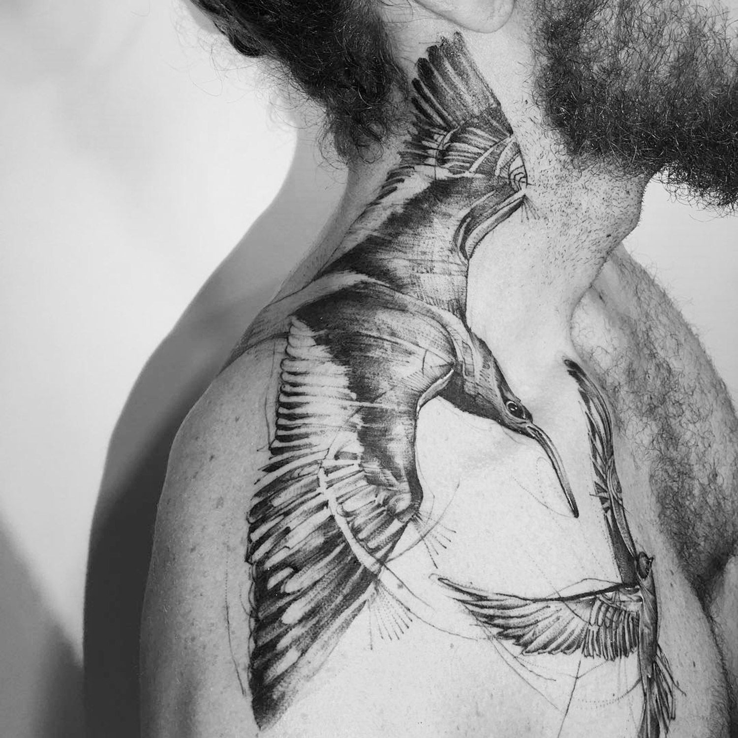 bird sketch style tattoo on shoulder by bktattooer