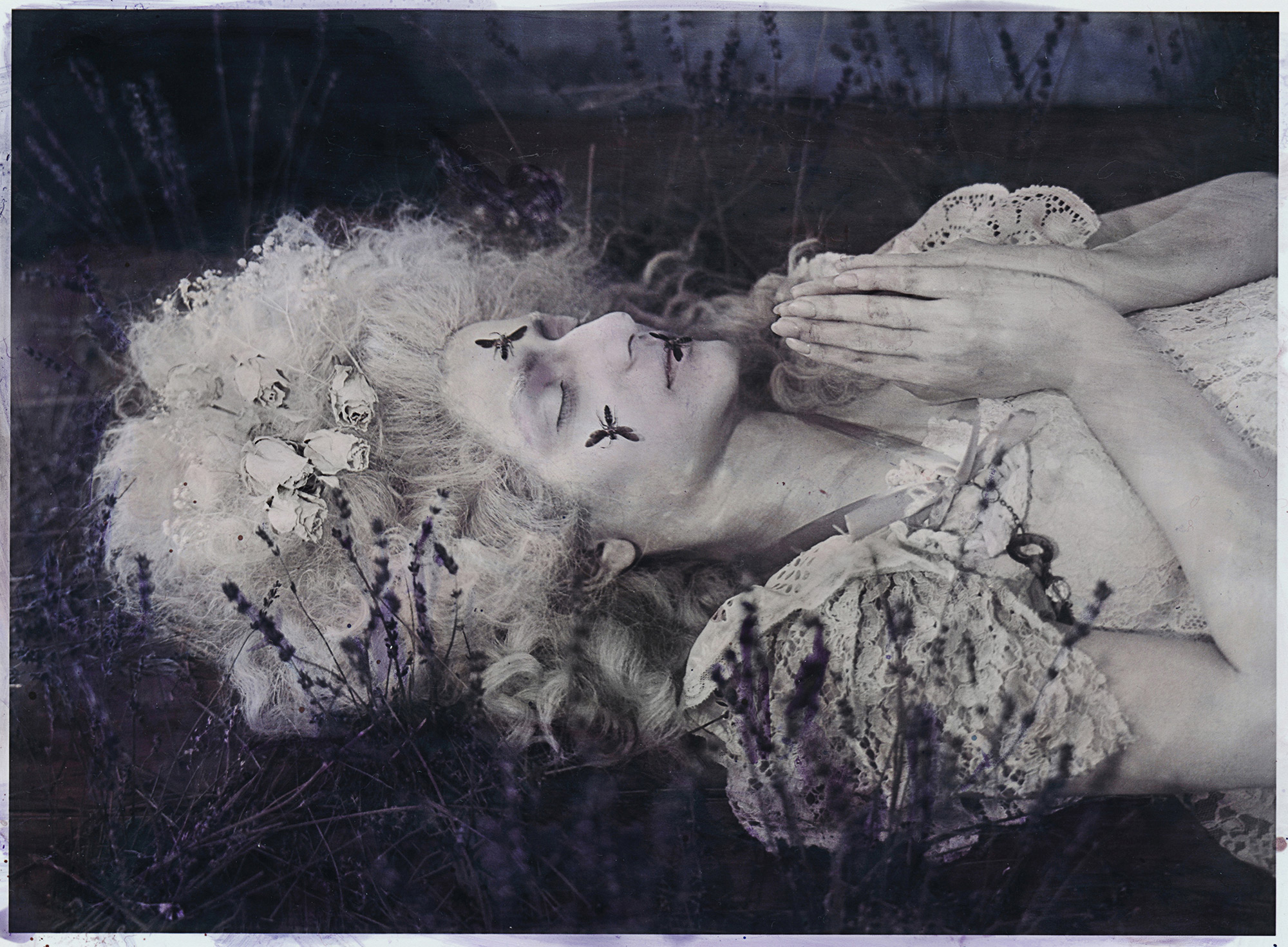 Katie Eleanor, Tigerlily II - lying down