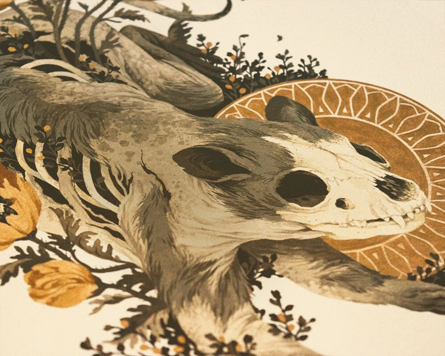 Detail view of partial animal skull with flowers