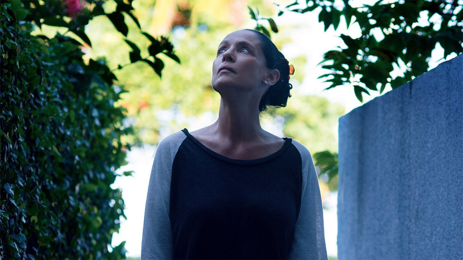 sonia braga in movie Aquarius