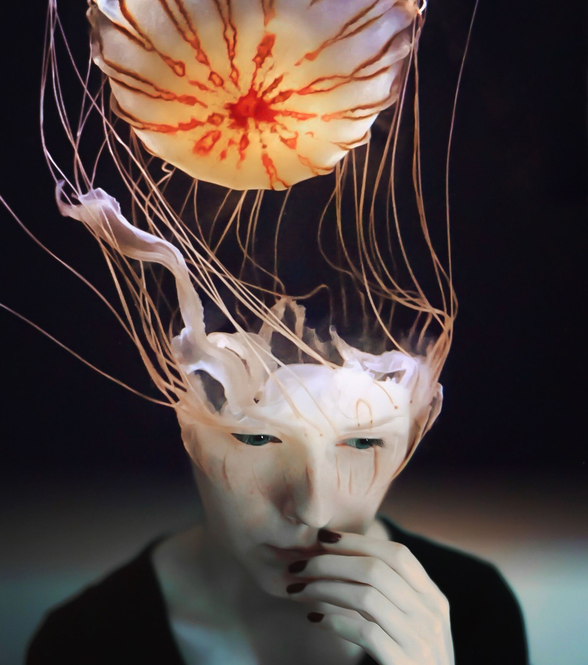 Scyphozoa, digital art, collage by cash mattock