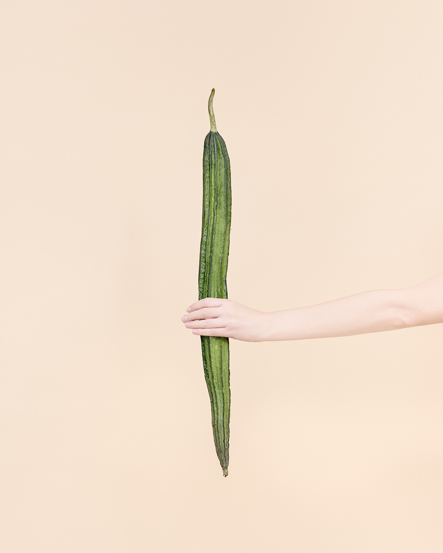 Kristina Varaksina - Anonymous - long squash vegetable