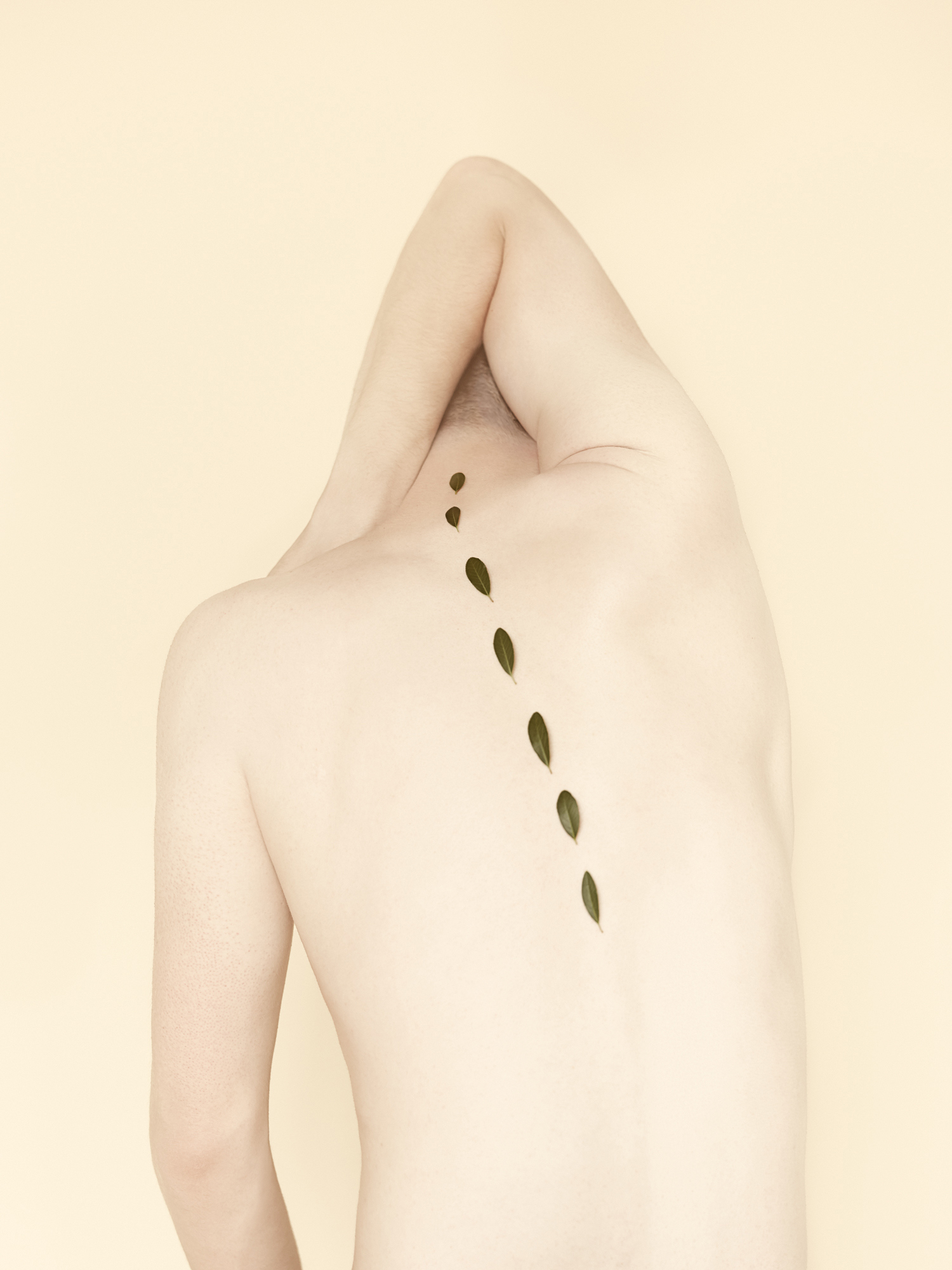 Kristina Varaksina - Anonymous - spine leaves